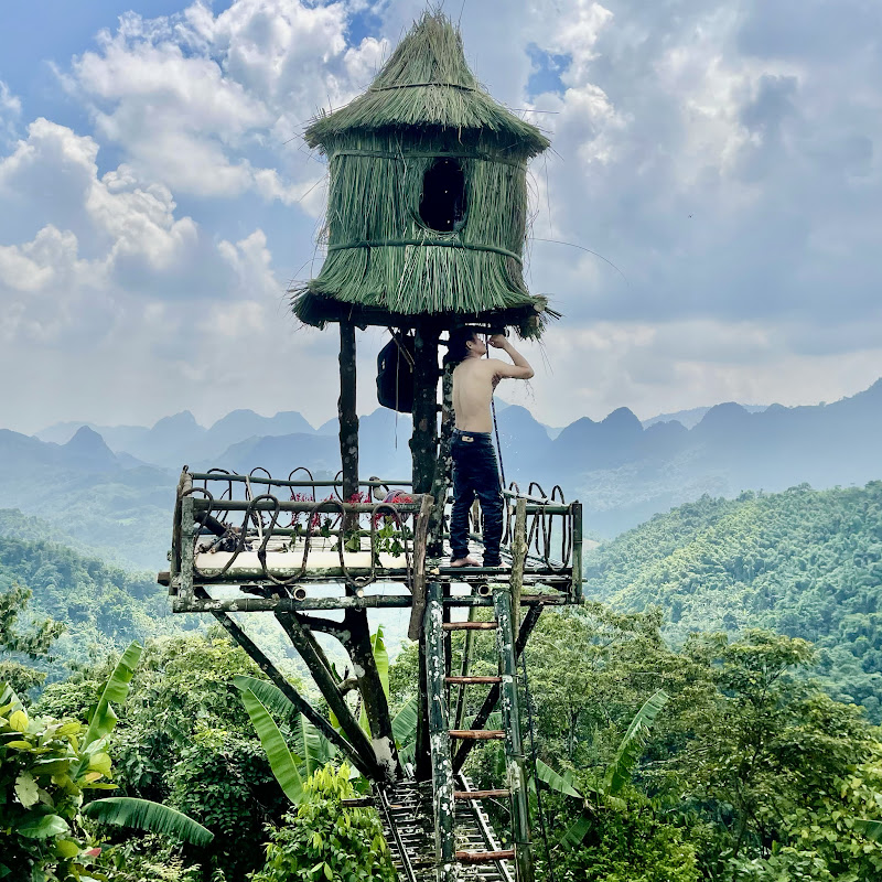 Survival Skills Logo