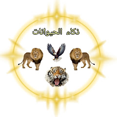 ذكاء الحيوانات  