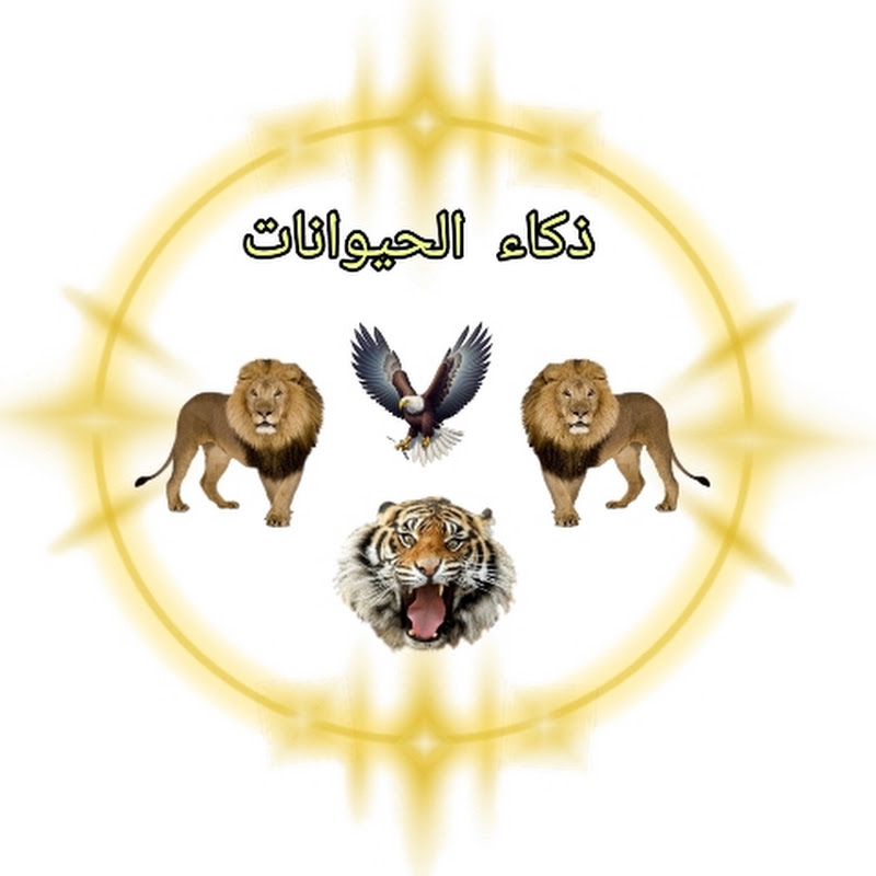 ذكاء الحيوانات  