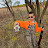 @AmericanHunting101 Avatar