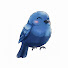 228K3_49ZGo-channel-avatar-こん