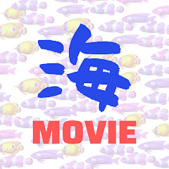 データ海物語プレミアム - 海の動画まとめ -アイコン画像