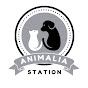 Animalia Station Motivated  logo