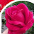 @asalasal-u5p9d