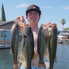 The Bass Code