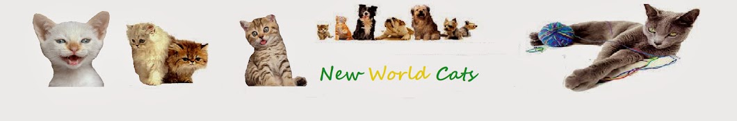 New World Cats YouTube channel avatar