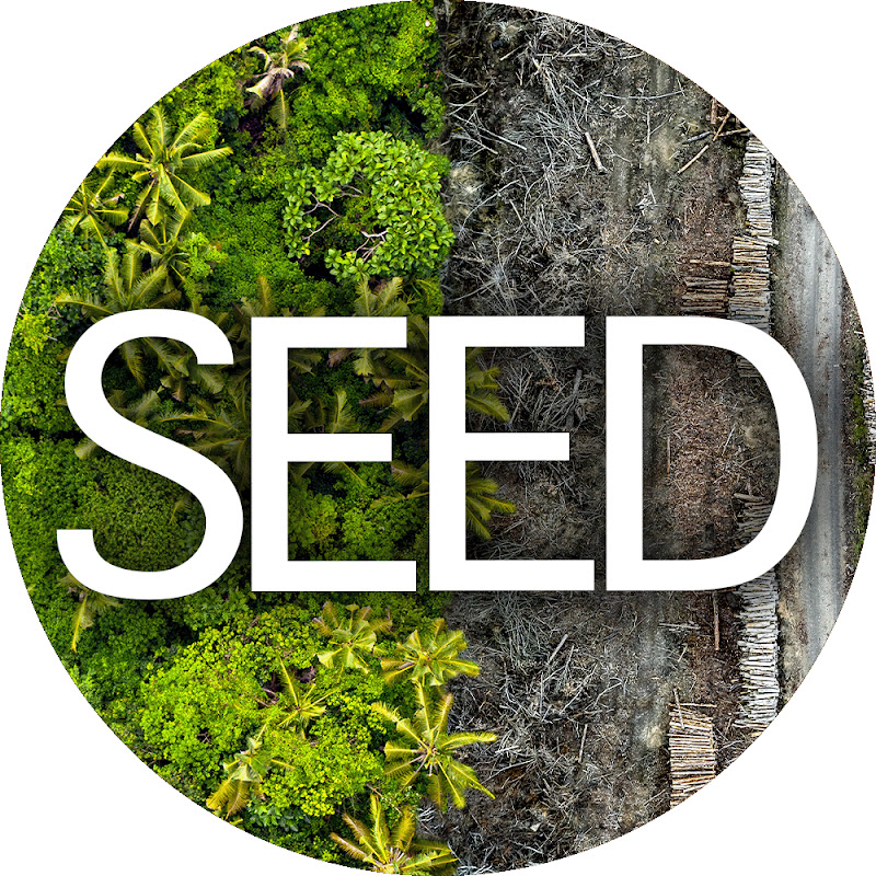 Seed
