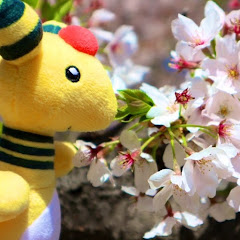 一之森たんてまる
