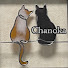 75M_x5oh7u4-channel-avatar-茶の香たいむ