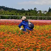 有趣的眼看世界