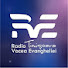 DiPBlIYnQNY-channel-avatar-rve.timisoara