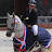 Mon Cheval Safir