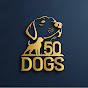 50 DOGS logo