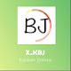 X_KBJ82