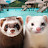 @allaboutferrets