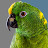 Charlie Murphy the Parrot