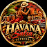 bqrb6J0vii8-channel-avatar-HAVANA SALSA OFFICIAL