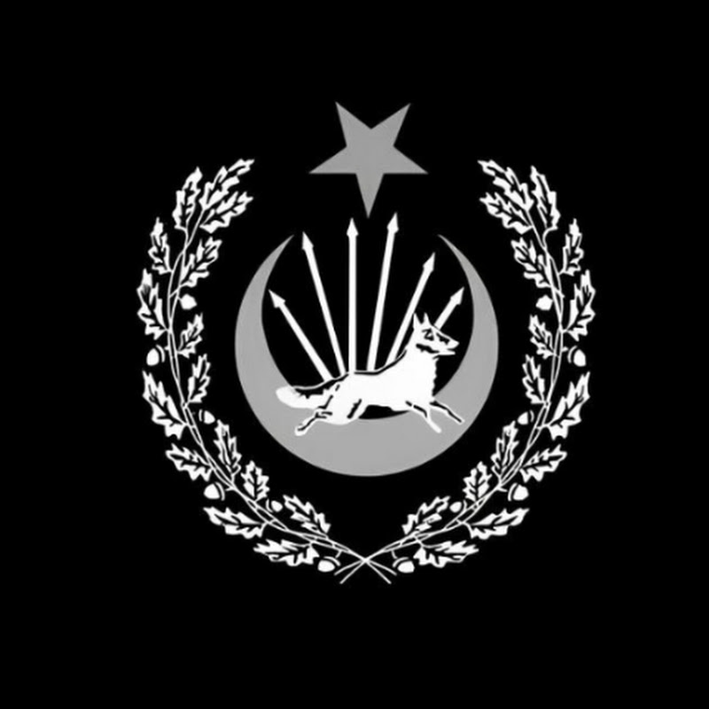 Son of the Turk