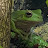 Avatar photo