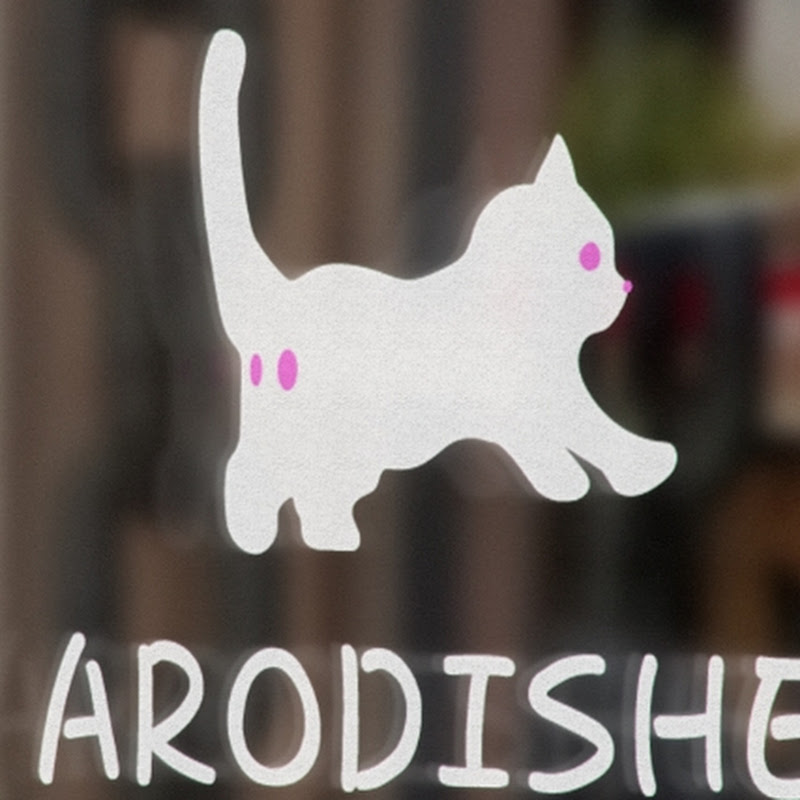 Hire 오피셜아로디쉐 — Gaming YouTube creator for sponsorships