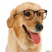 Funny Videos Creator