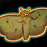 lW_AkY141Pc-channel-avatar-mothmanlover2000