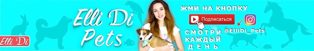 Elli Di Pets YouTube channel avatar