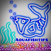 aquafishtips