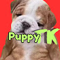 Puppy TK