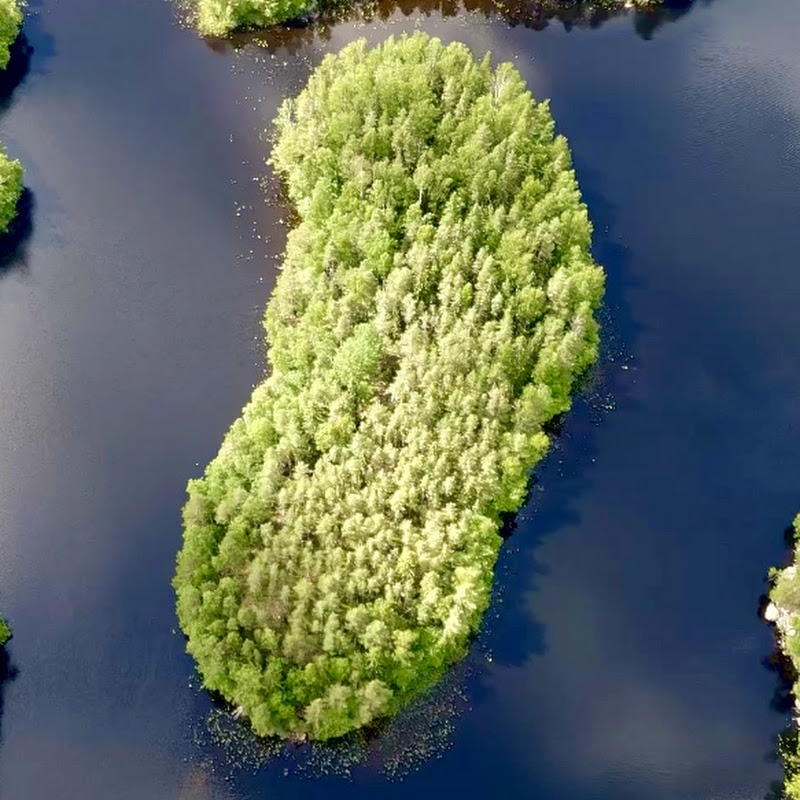 Off Grid Island Logo