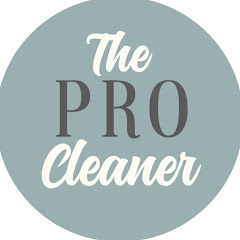 The Professional Cleaner net worth
