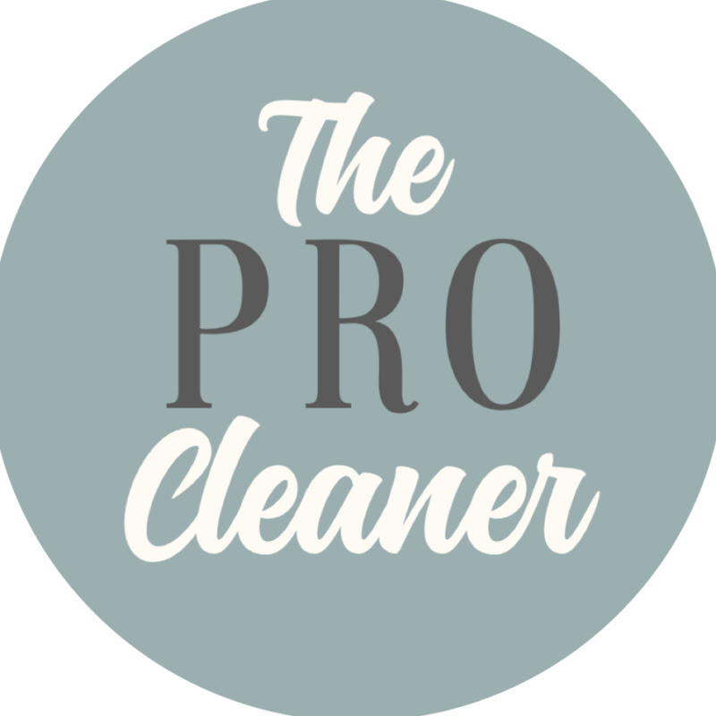The Professional Cleaner