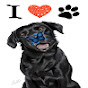 I love pets logo