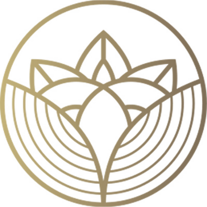 LuLuhua Plants-DIY&Decor