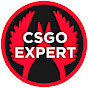 CS GO EXPERT logo