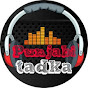 Punjabi Tadka  logo