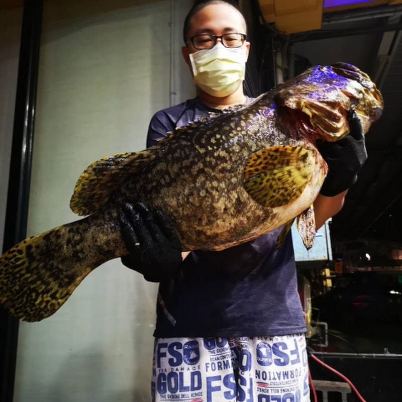 打魚王翔哥 Logo