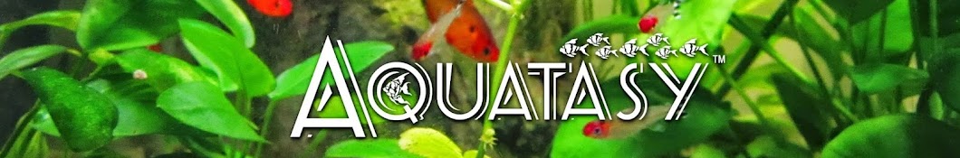 Aquatasy YouTube channel avatar