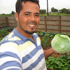 Vida No Sítio Por Do Sol