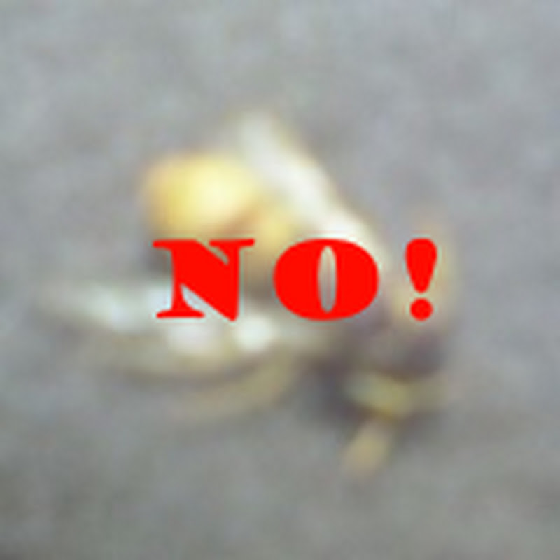 No! No Buzz