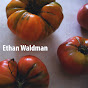 Ethan Waldman - Topic - Youtube