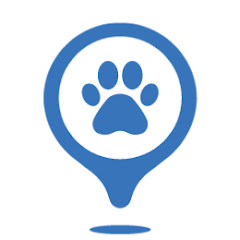 Petflix Show  channel avatar