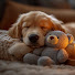 hBysK9dw-KU-channel-avatar-Relaxing Dog Melodies