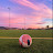 Avatar de @SundayLeagueBallers