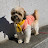 @승리엄마-v4v