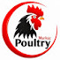b4vBFi9auys-channel-avatar-Poultry Markaz