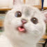 gM_Up6tcSzE-channel-avatar-thuggy