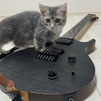 七味【弾いてみた】 のサムネイル