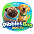 ko7YhpY9xb0-channel-avatar-Pibble & Boo Dog TV