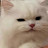 @묘묘묭묭묘